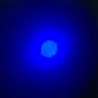 Blacklights / UV Lamps / Meters - Battery Operated/Portable UV ...