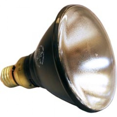 Replacement for Spectroline Ble-1800b Light Bulb This Bulb is Not Manufactured by Spectroline 