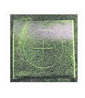 standard qqi image