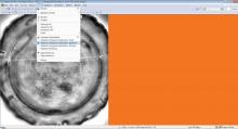 xbitpro-software-histogram